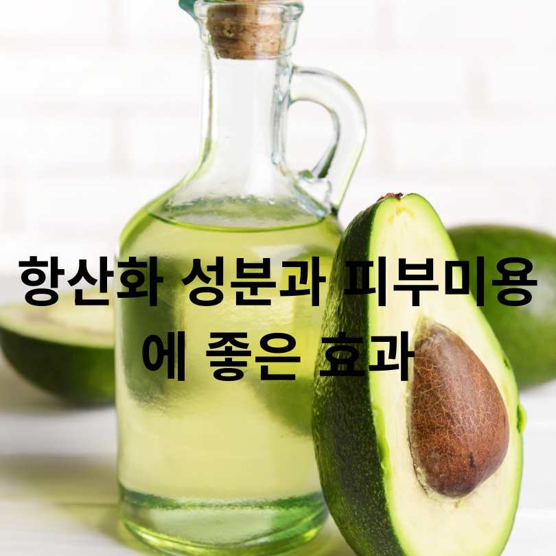 아보카도오일과 올리브오일 차이점