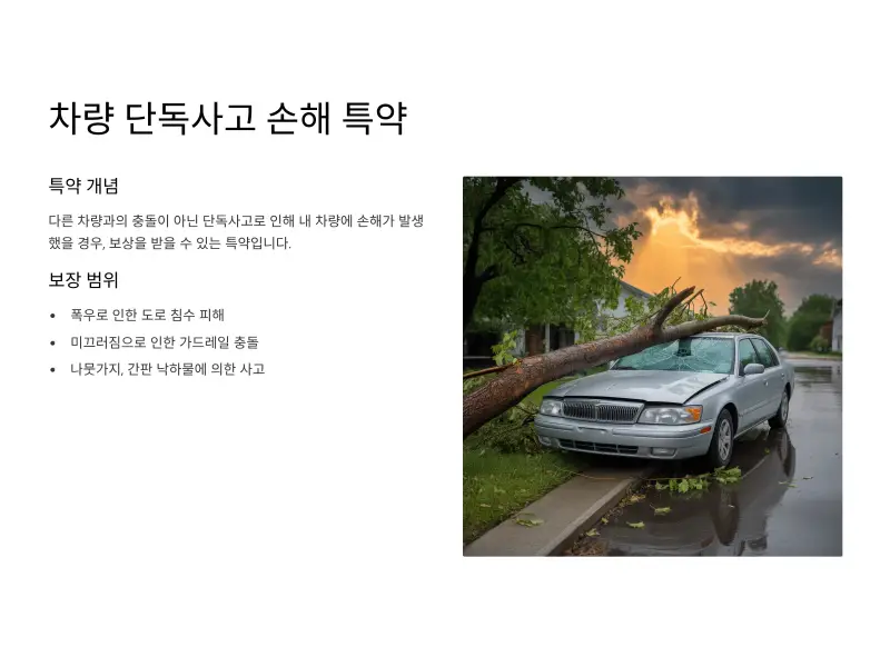 자동차보험-특약6_