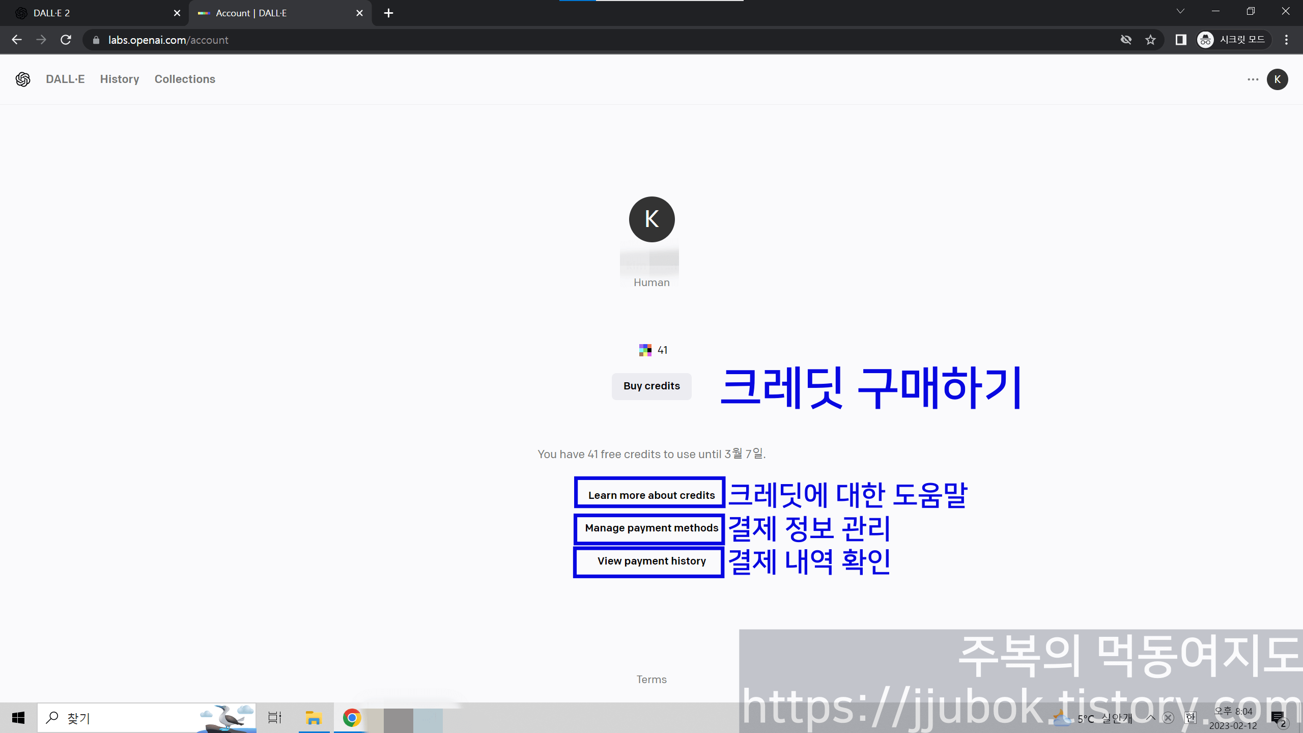DALL-E-크레딧-구매하기