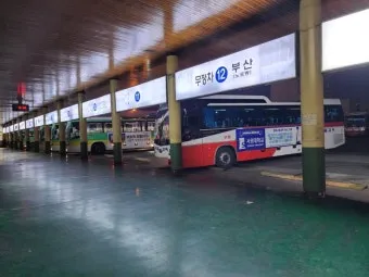 포항시외버스터미널 시간표 예매 조회 안내_11