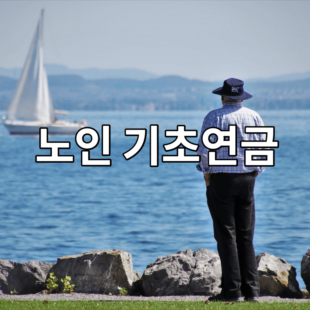노인-기초연금