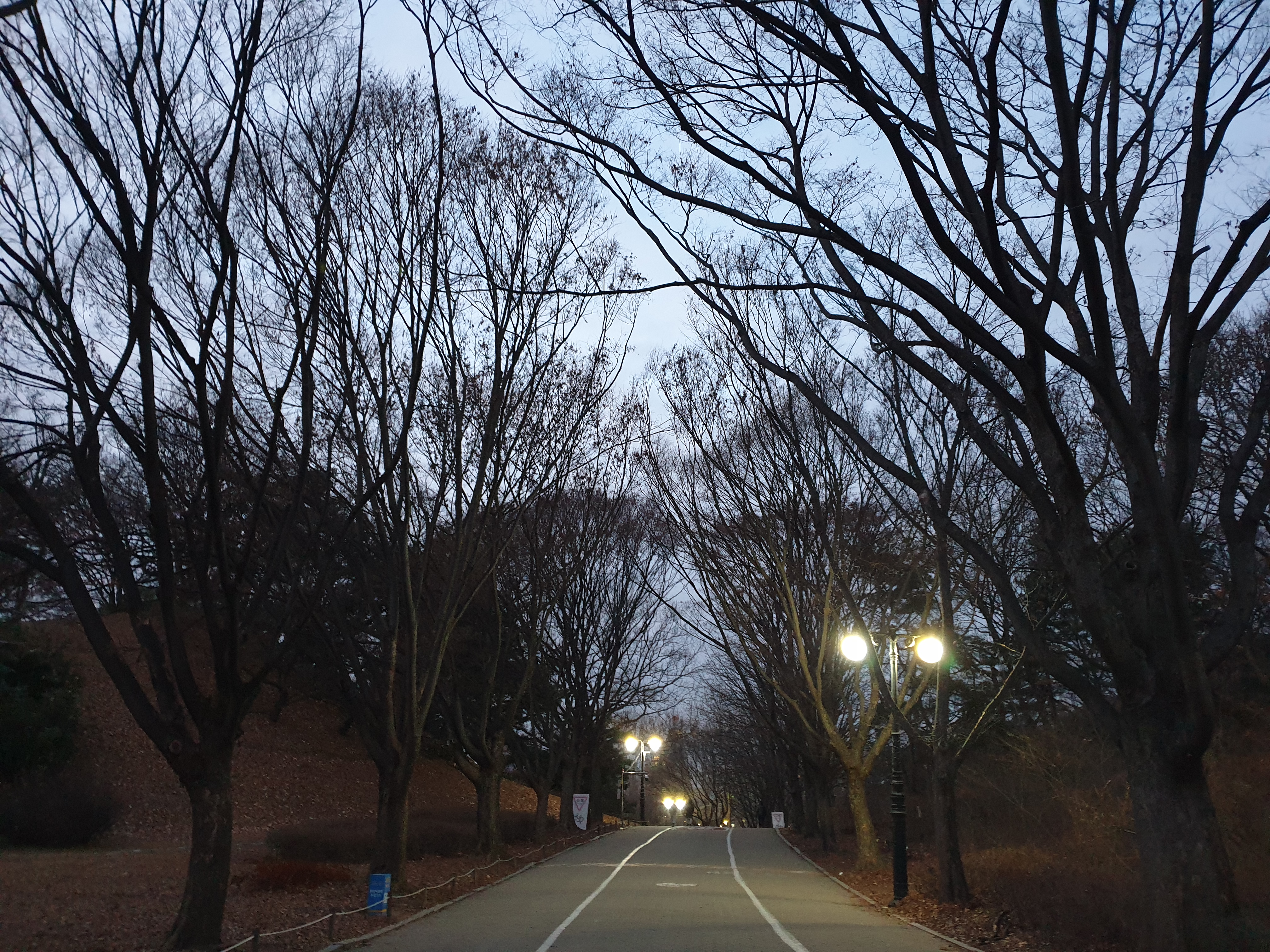 올림픽 공원 산책로