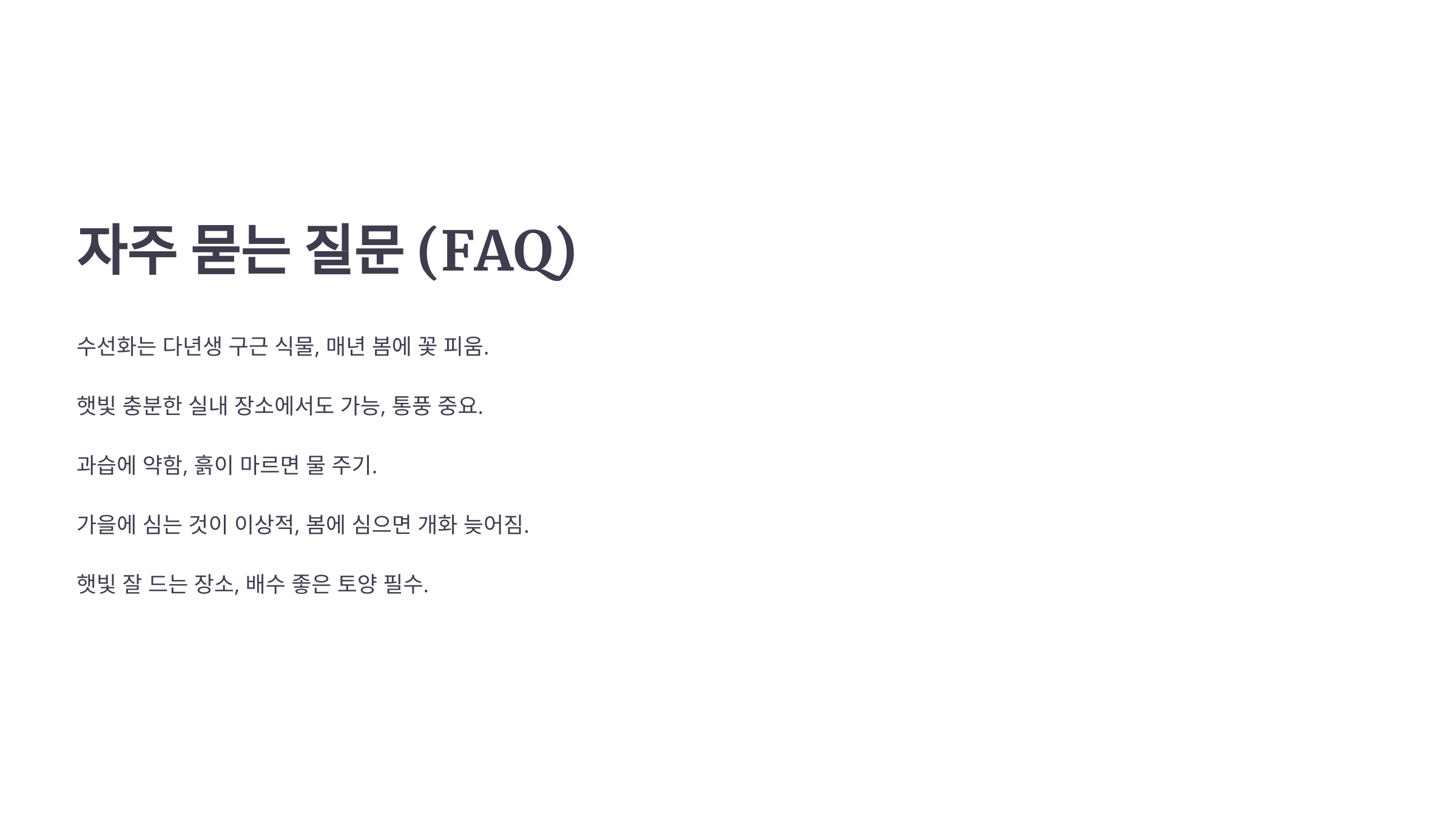 수선화 사진입니다.