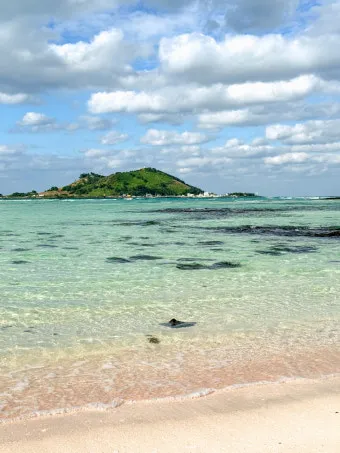 제주 협재 맛집 추천 카페와 브런치 맛집 포함_10