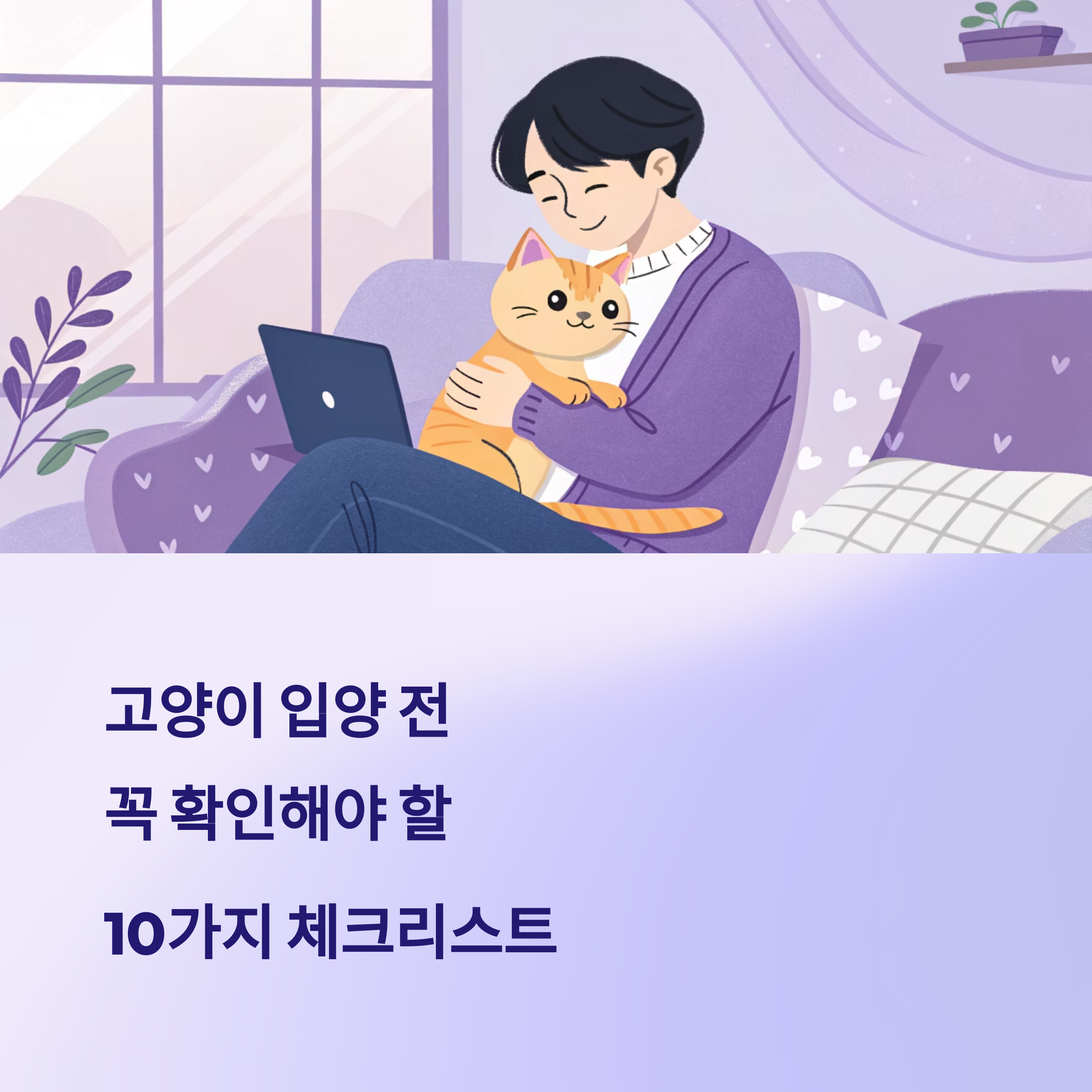고양이 입양전 체크리스트 10가지