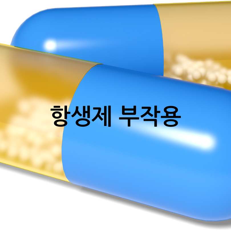 항생제 부작용