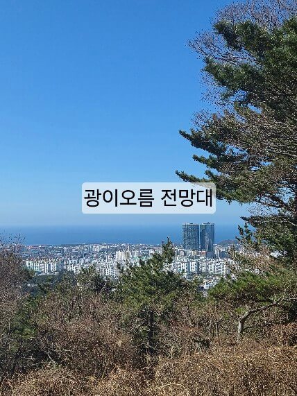 제주 광이오름