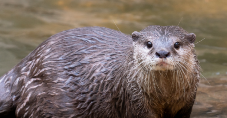 사천 아쿠아리움