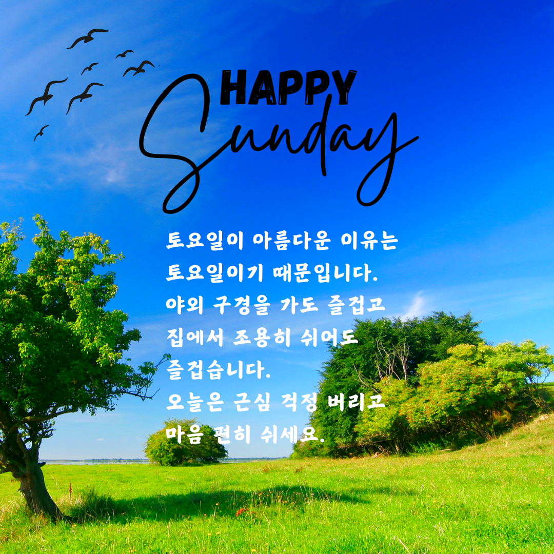 토요일 아침 인사말 카톡 이미지