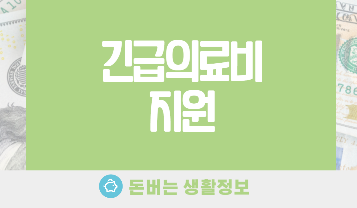 긴급의료비지원