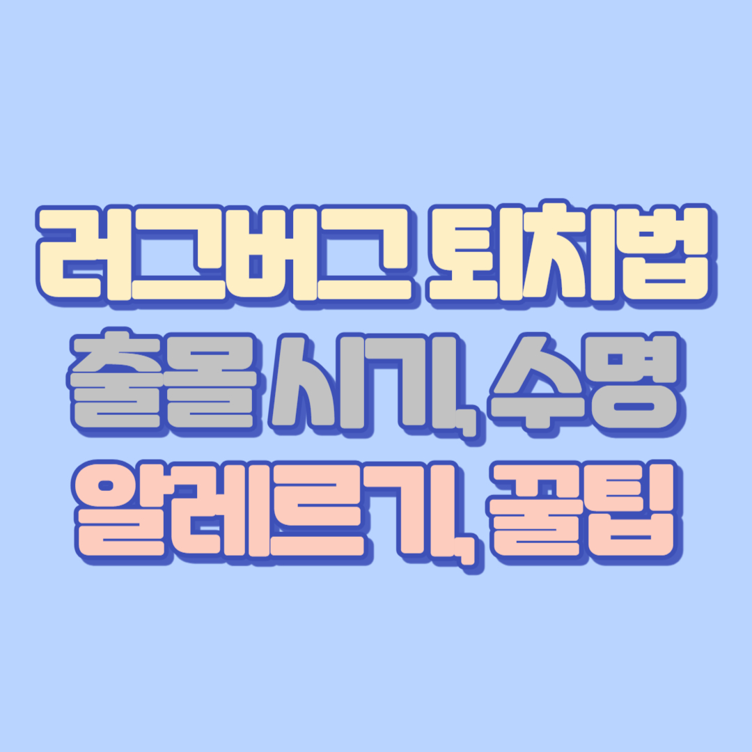 🐞러그버그 퇴치법과 출몰 시기,수명, 알레르기