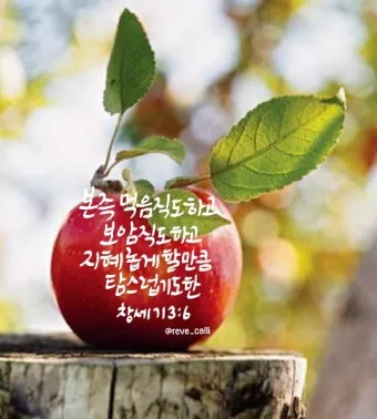 창세기 3장 원죄 구원 묵상_13