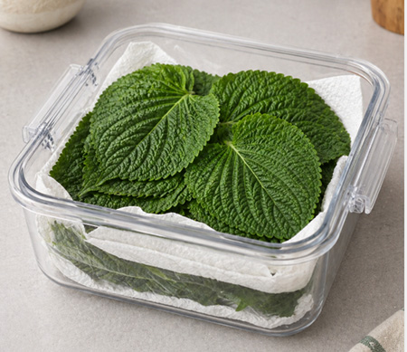 깻잎 오래보관