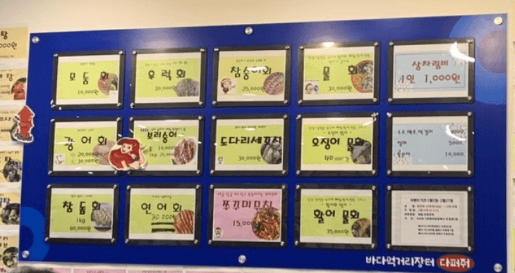 생방송투데이 동대문 모둠회 맛집 정보