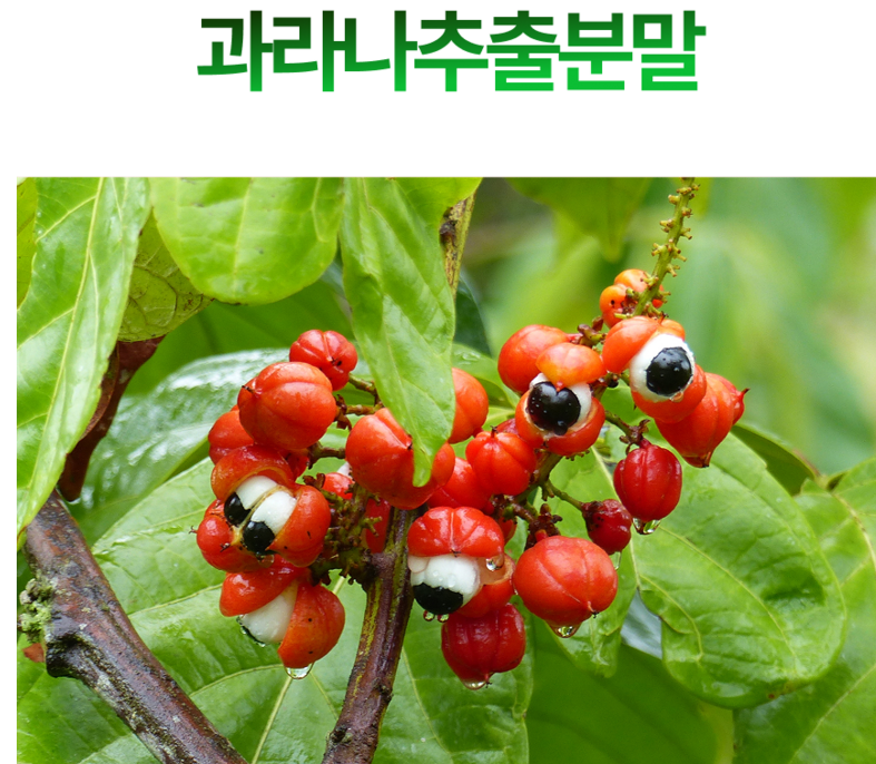 유디트 잇 오프 핵심 원료