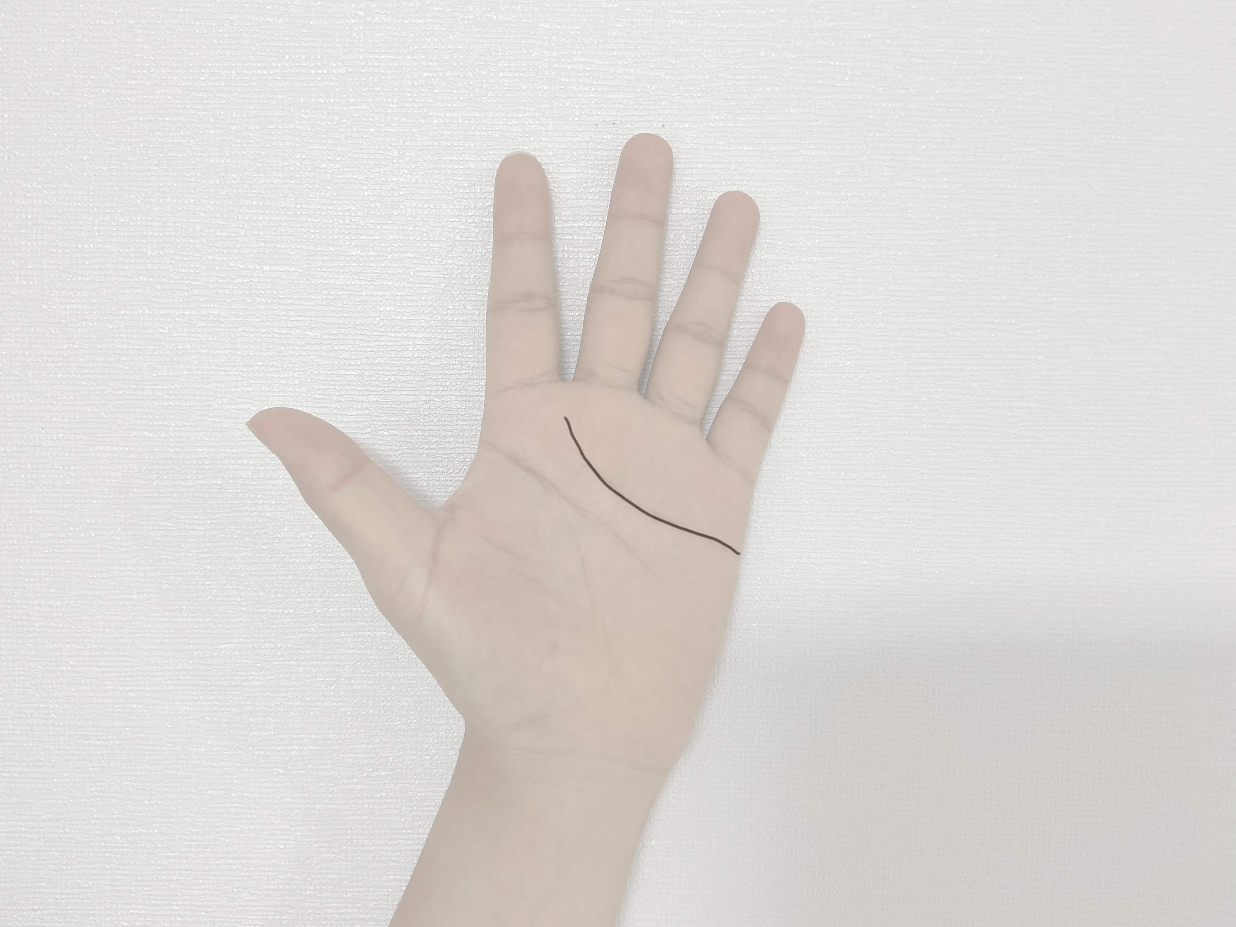 감정선의 종점