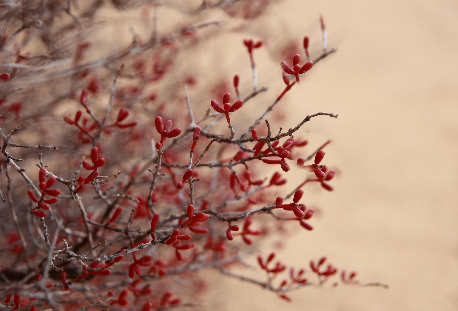 기후 재난은 ‘이사’가 아니라 ‘탈출’을 만든다