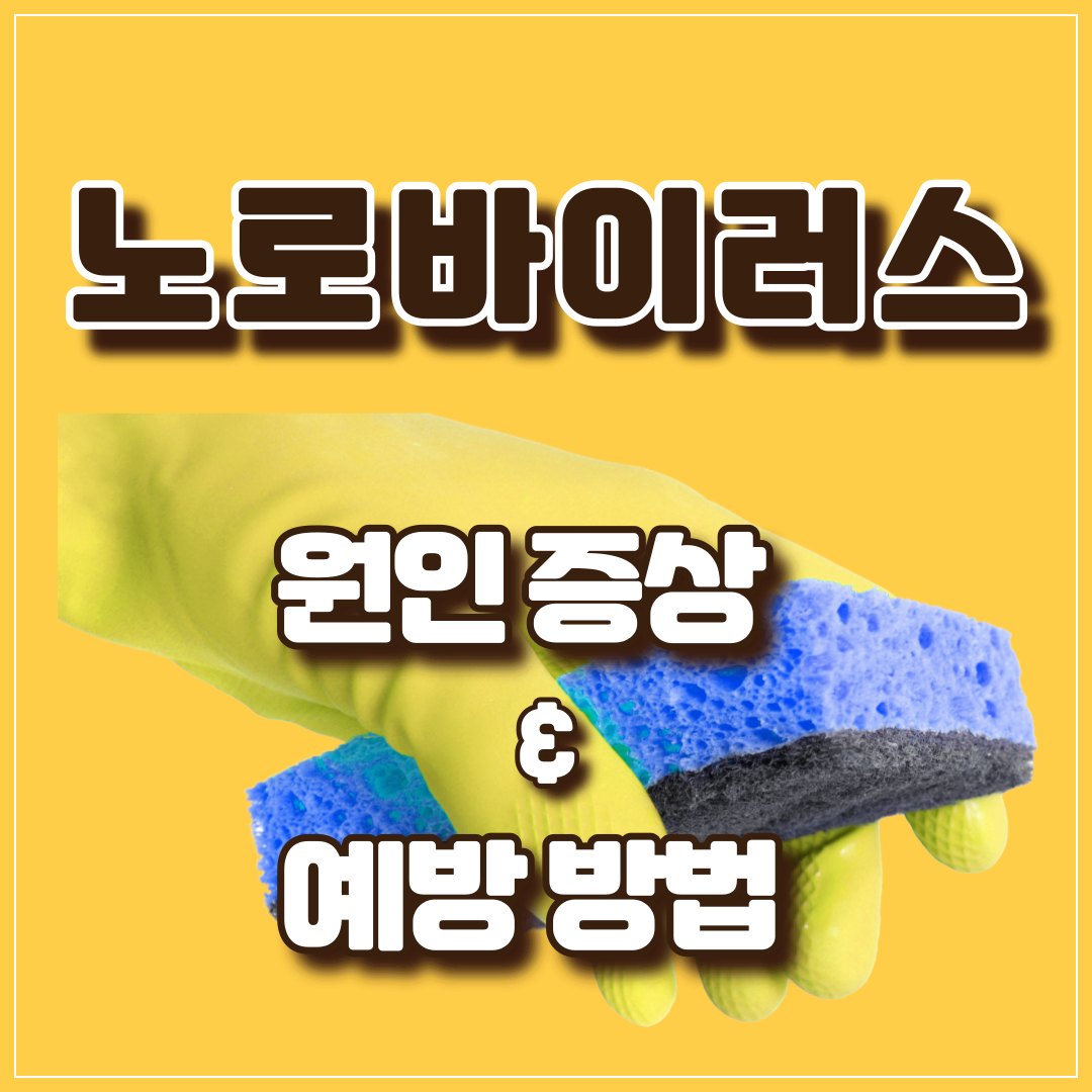 노로바이러스 예방법