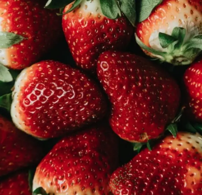 A형 독감에 좋은 음식