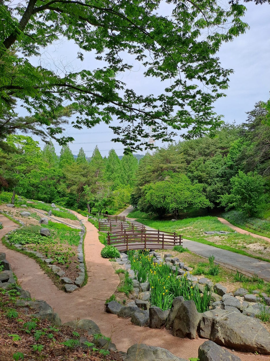 굶어도 안 빠지는 30-40대&amp;#44; 진짜 현실 다이어트