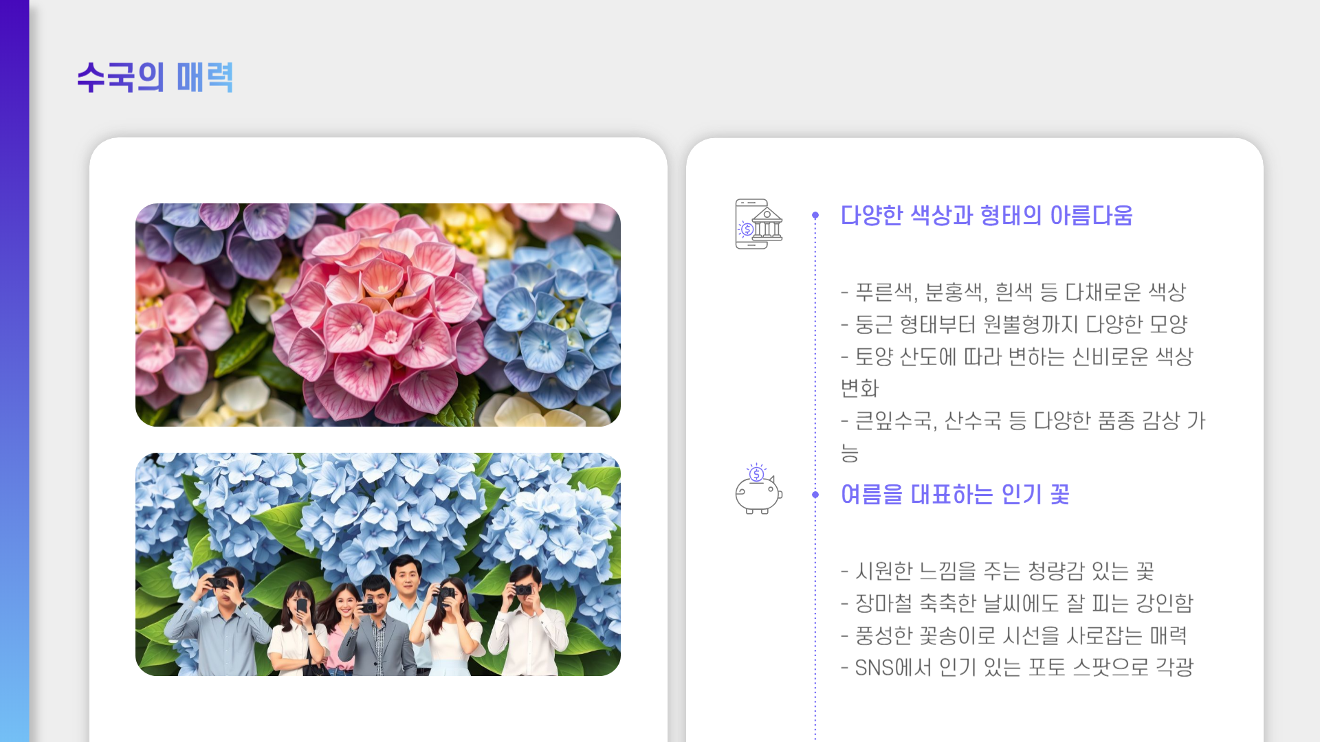 아침고요수목원 수국전시회