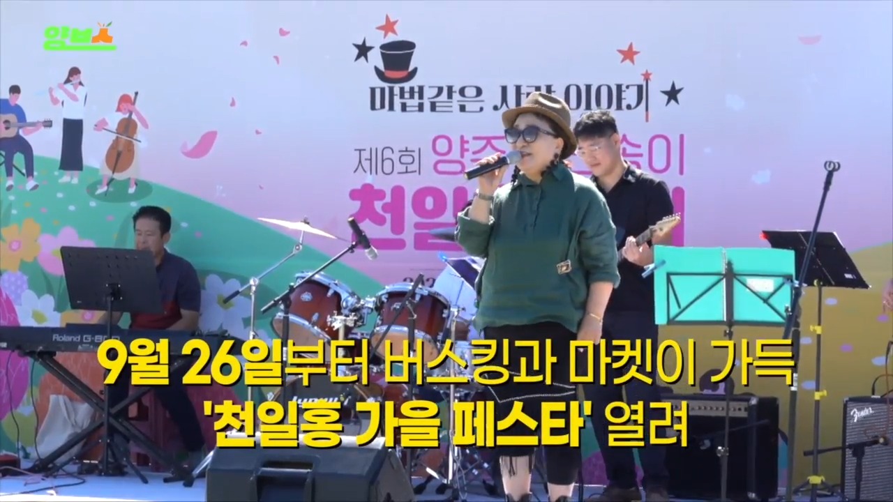 양주 천일홍 가을 페스타 살펴보기 6