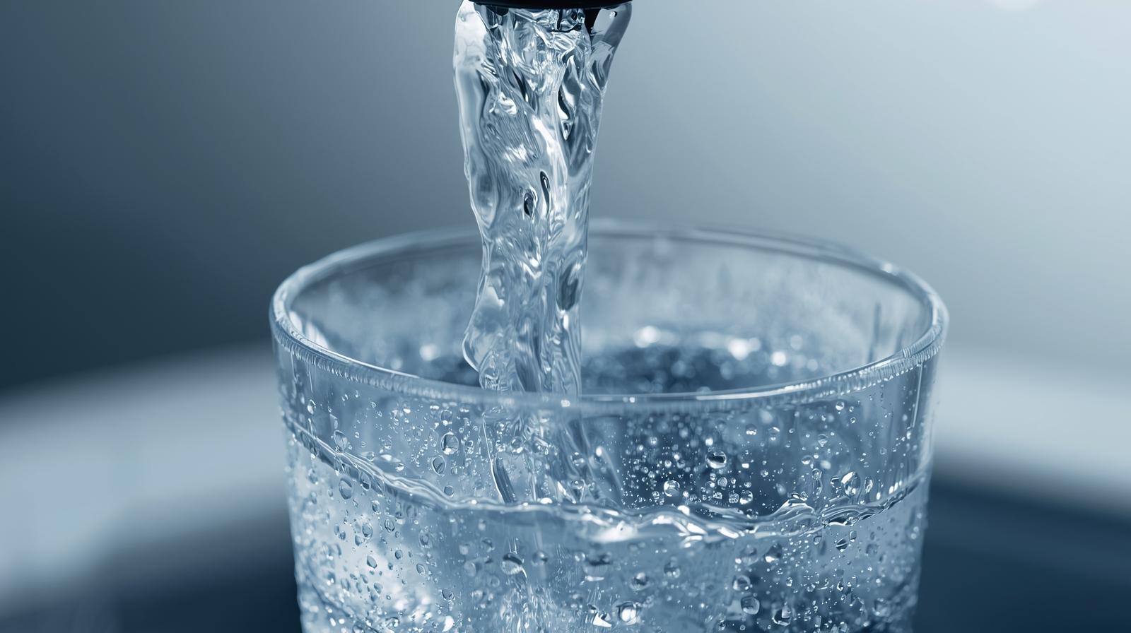 기관지에좋은 음식