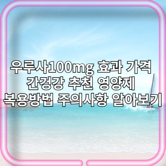 우루사100mg 효과 가격 간겅강 추천 영양제 복용방법 주의사항 알아보기