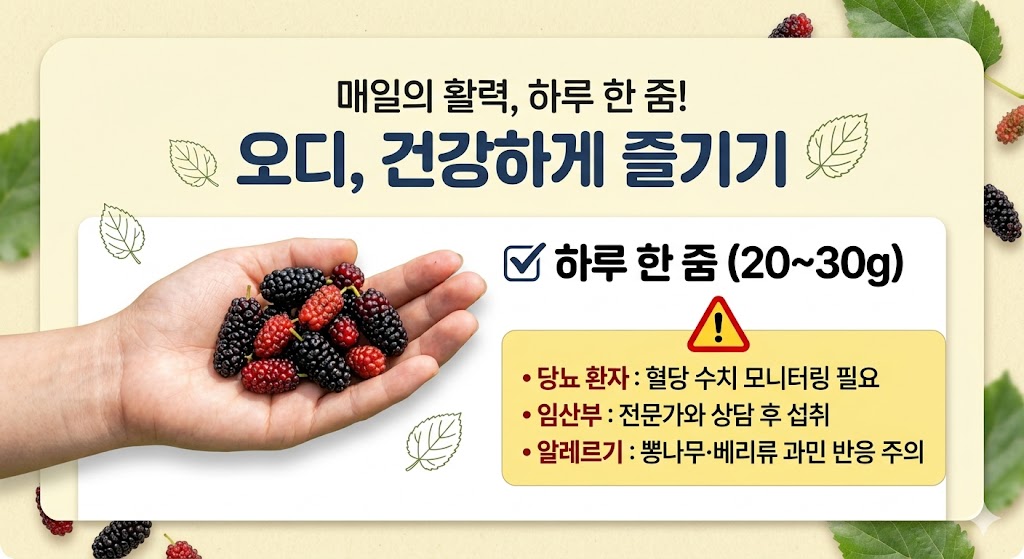 오디 부작용 하루 섭취량 주의사항 가이드