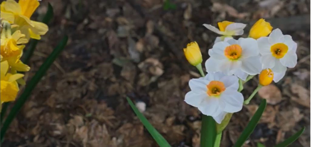 가슴이뛴다_11회