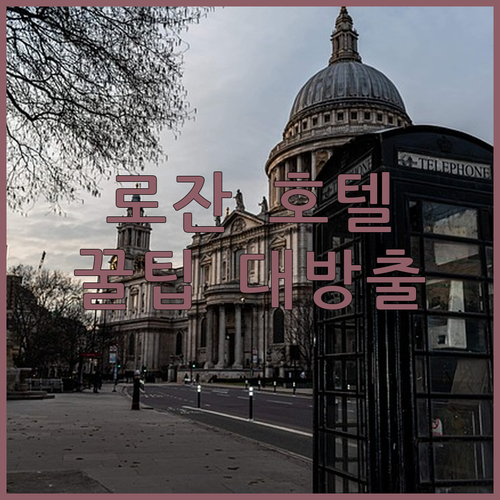 로잔 호텔 예약 전 필독! 나에게 딱