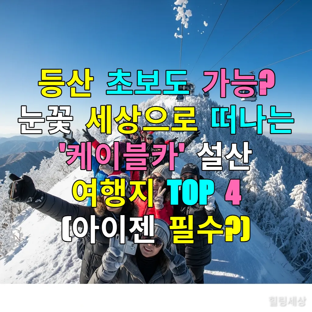 케이블카를 타고 올라간 한국의 설산 정상에서 눈꽃을 즐기는 관광객들의 모습