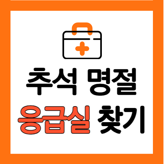 추석 명절 응급실 찾기