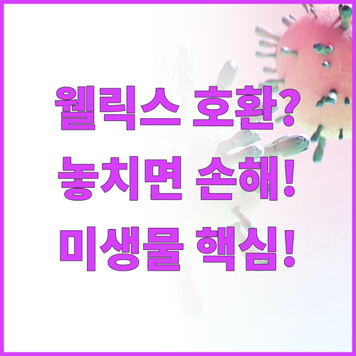 웰릭스 린 싱크리더 호환 가성비 미생..