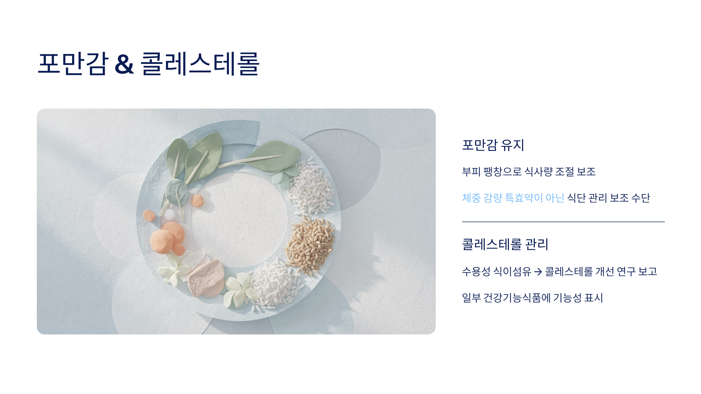 차전자피의 효능 차전자피 먹는법