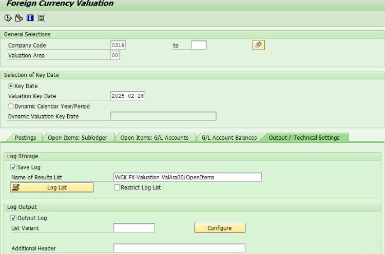 FAGL_FCV Output 화면