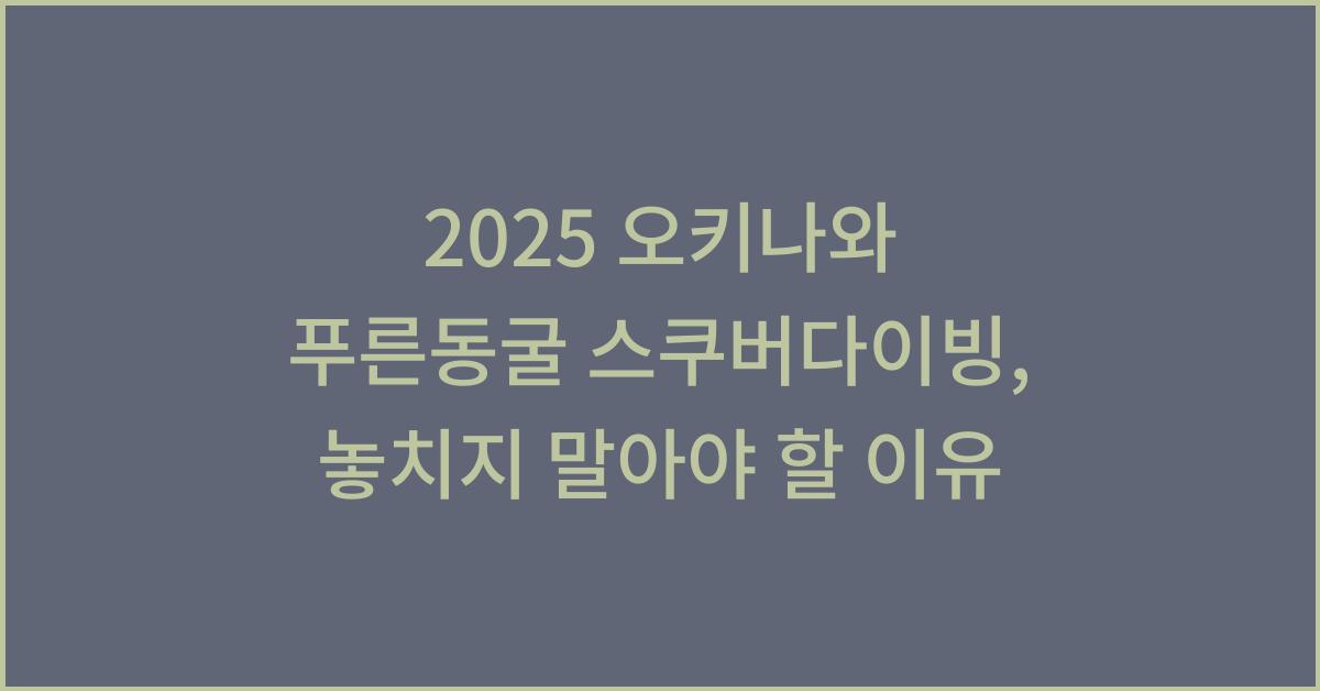 2025 오키나와 푸른동굴 스쿠버다이빙