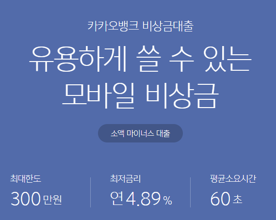 소액대출 100만원