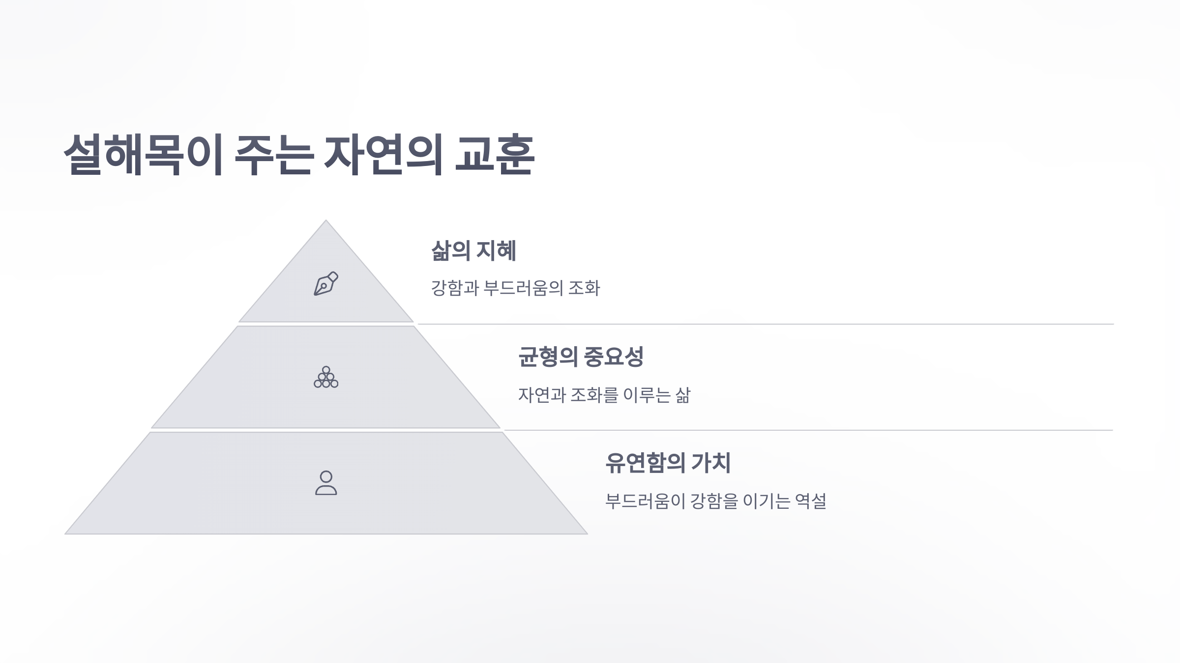 참조-설해목-소나무-둥지-4