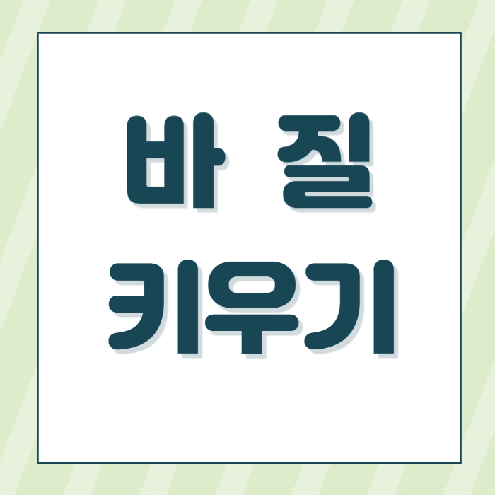 바질키우기