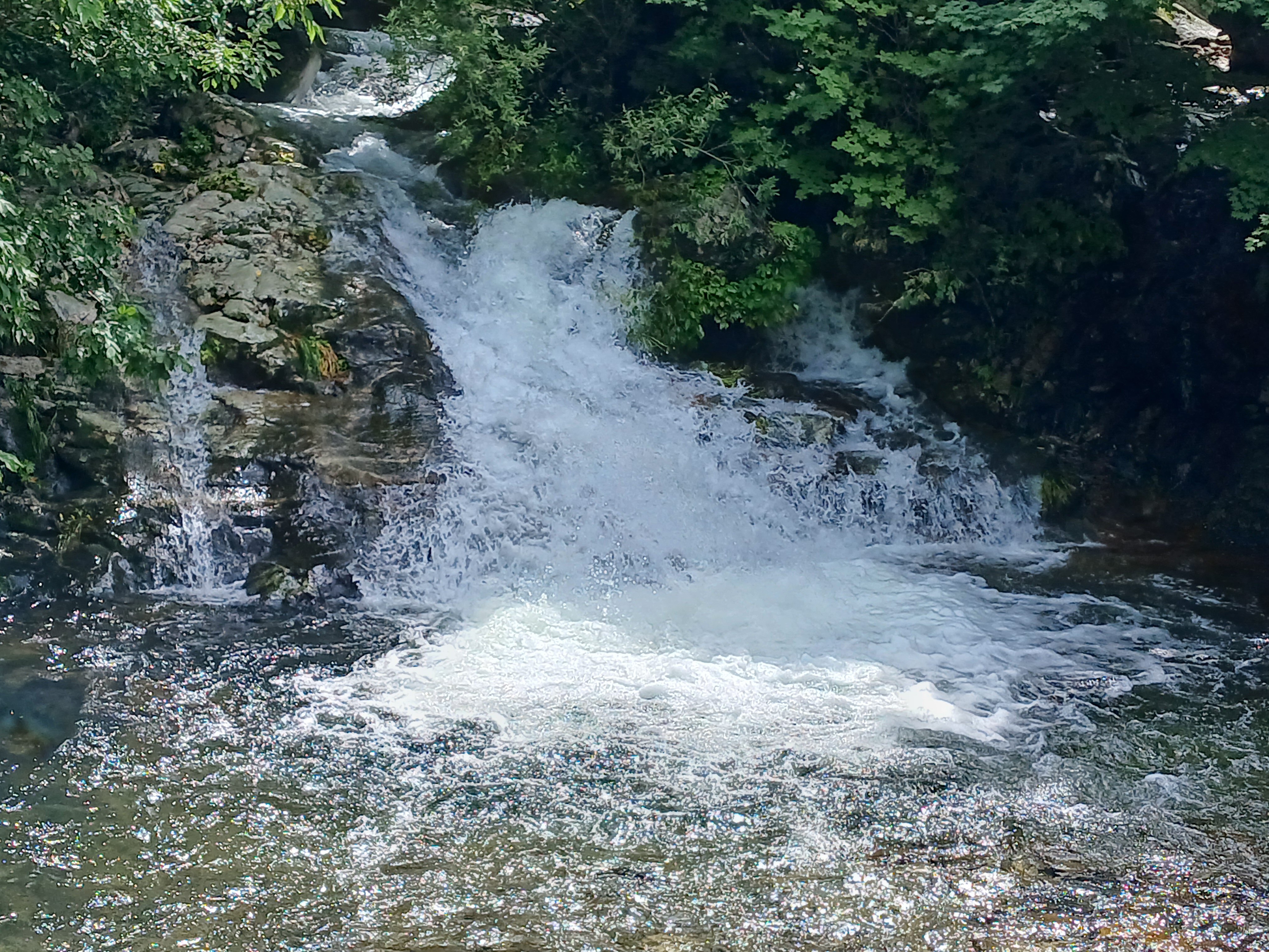 철원 국립 복주산 지자체 자연휴양림 계곡 할인 날씨 정보