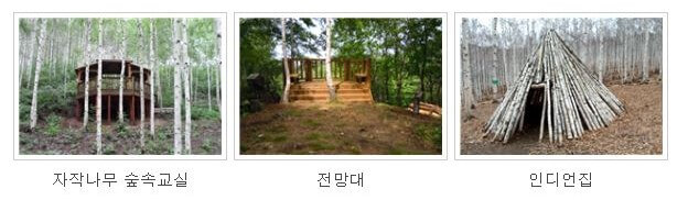 인제 자작나무 숲 주요시설