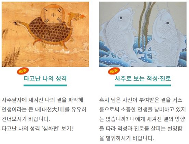 사주인 사이트