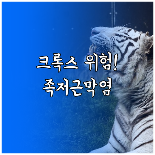 족저근막염 환자 크록스 장시간 착용 ..