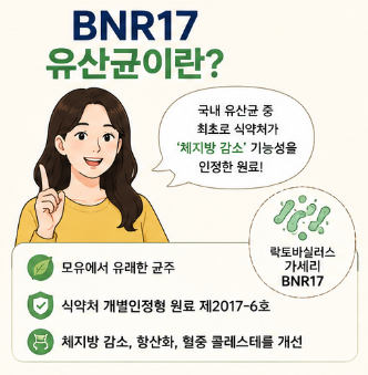 bnr17-유산균-가격비교-20206-최저가-구매팁