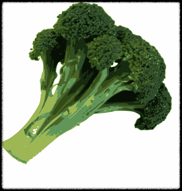 브로콜리 이미지4