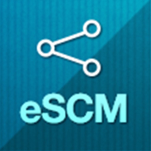 하나로 eSCM