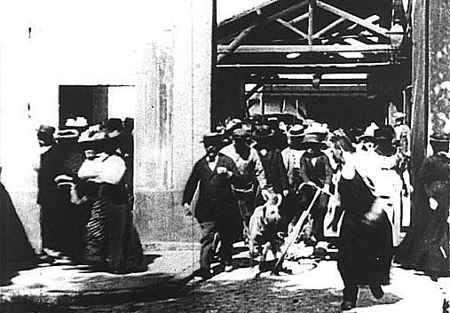 세계최초의 영화 1895년작 "공장을 나서는 노동자들"의 한장면