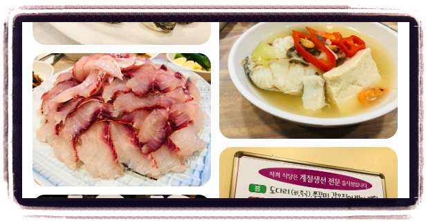 전현무계획2 영광 덕자회 덕자조림 후기