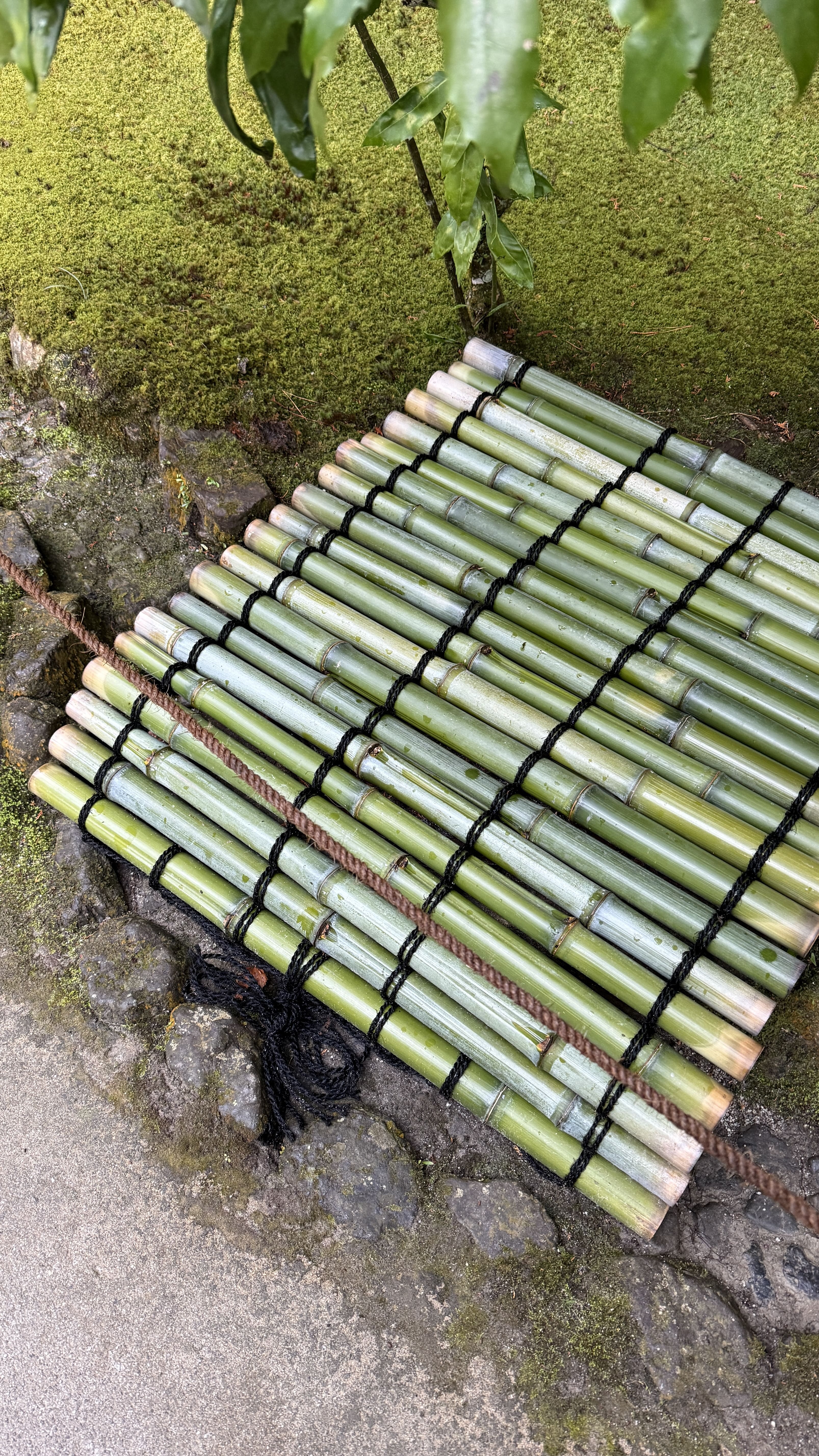 교토-꼭-가봐야-할-곳-교토-은각사-긴카쿠지-조용한-산책-코스-추천